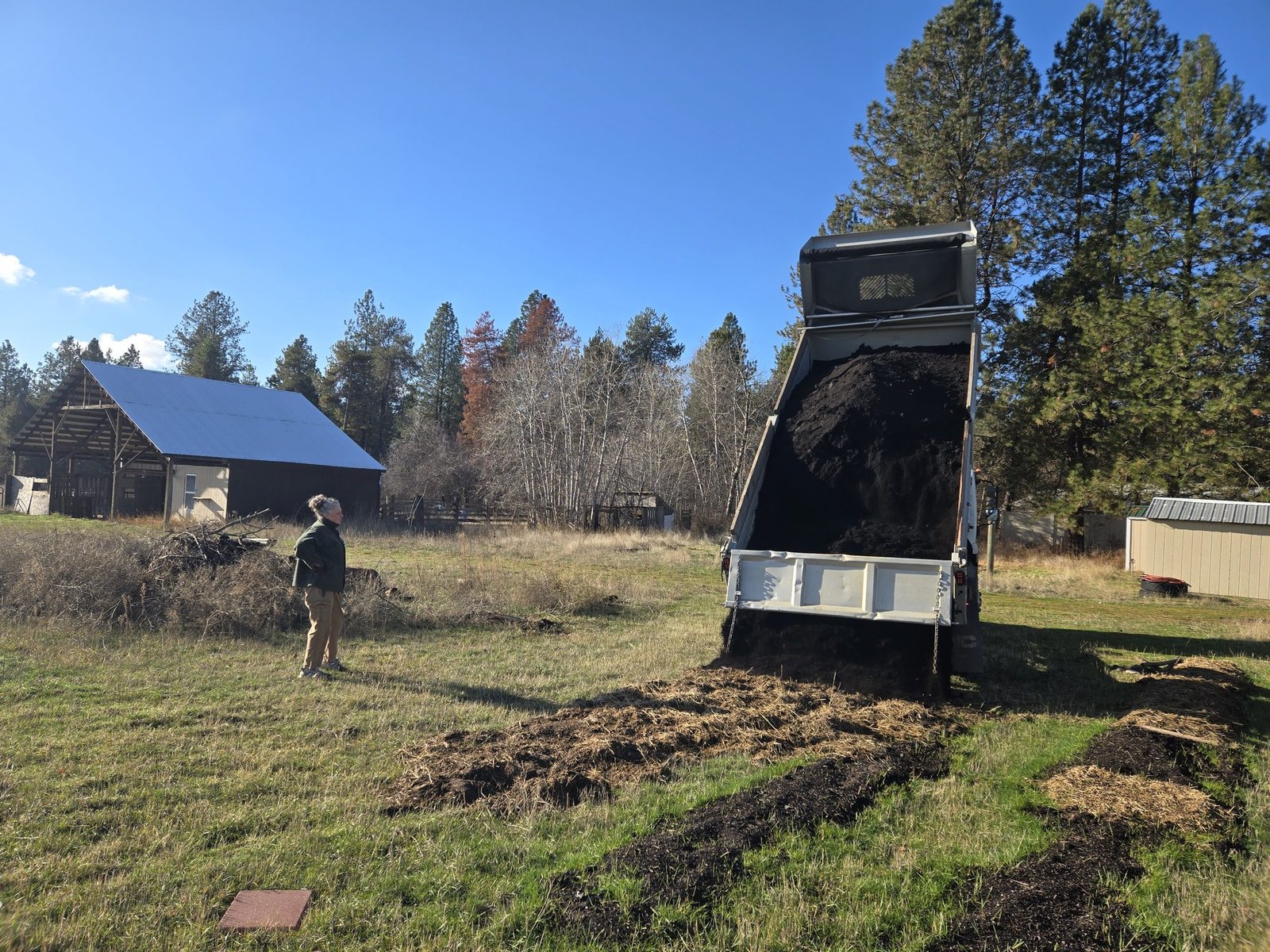 A dump truck delivering compost to the field