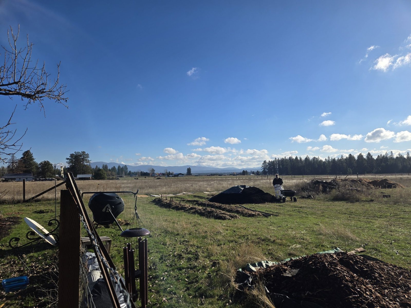 The bare field in the first days on the farm