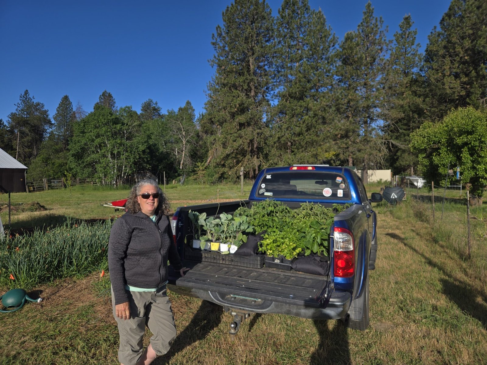 Truck loaded with plant starts