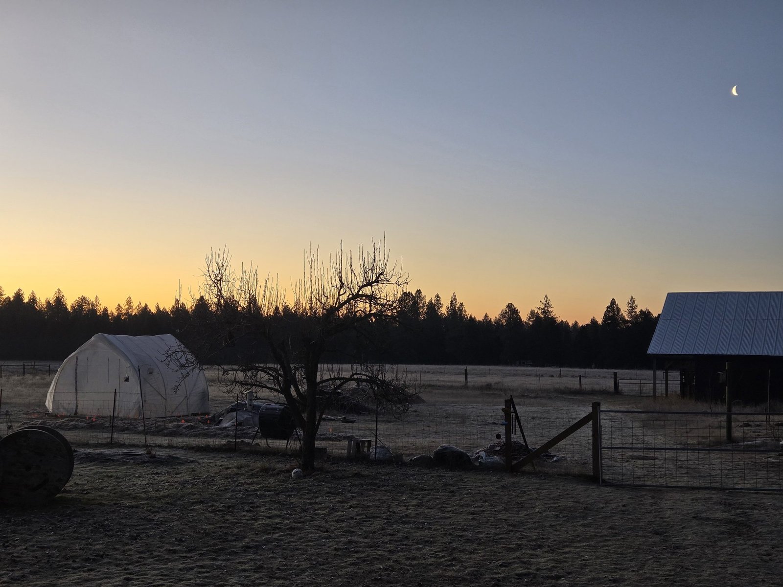 Frosty dawn over the farm, a crescent moon above the barn and hoop house