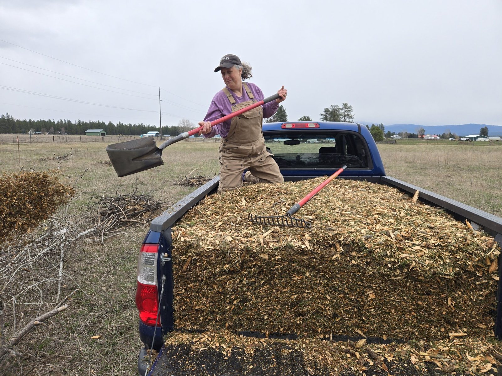Shoveling a truckload of woodchips
